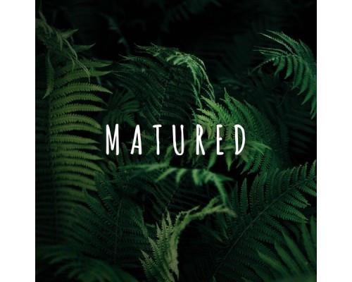 Rain Sounds & Nature Sounds - Matured