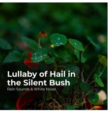 Rain Sounds & White Noise, Raindrops Sleep, Sleep Rain - Lullaby of Hail in the Silent Bush