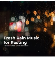Rain Sounds & White Noise, Raindrops Sleep, Sleep Rain - Fresh Rain Music for Resting