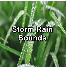 Rain Sounds & White Noise, Thunderstorm Sound Bank, Calming Sounds, Paudio - Storm Rain Sounds