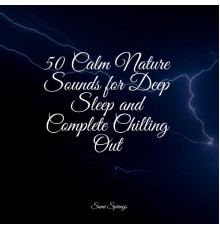 Rain for Deep Sleep, Bedtime Baby, Binaural Beats Brain Waves Isochronic Tones Brain Wave Entertainment - 50 Summer Rain Tracks