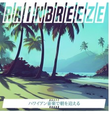 Rainbreeze, Shunsuke Tanaka - ハワイアン音楽で朝を迎える