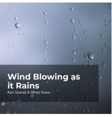 Raindrops Sleep, Rain Sounds & White Noise, Sleep Rain - Wind Blowing as it Rains