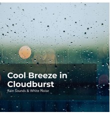 Raindrops Sleep, Sleep Rain, Rain Sounds & White Noise - Cool Breeze in Cloudburst