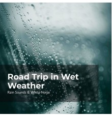 Raindrops Sleep, Sleep Rain, Rain Sounds & White Noise - Road Trip in Wet Weather