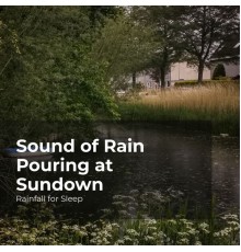 Rainfall For Sleep, Rain Shower, Rain Man Sounds - Sound of Rain Pouring at Sundown