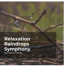Rainfall For Sleep, Rain Shower, Rain Man Sounds - Relaxation Raindrops Symphony