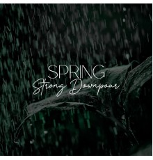 Rainforest, Kings of Nature, Soundscapes! - Spring Strong Downpour: Deep Relax and Sleep