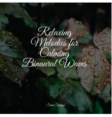 Rainforest, White Noise Sound Garden, Lullaby Rain - Relaxing Melodies for Calming Binaural Waves