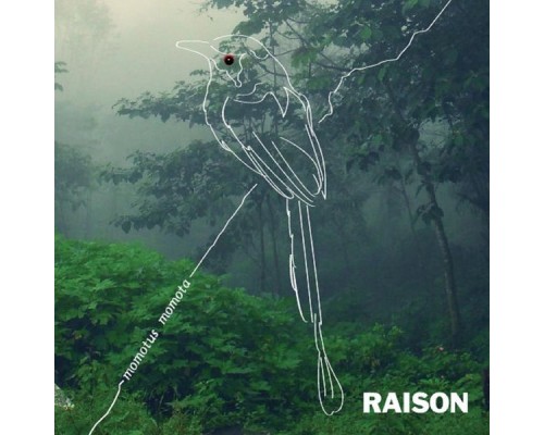 Raisón - Momotus Momota