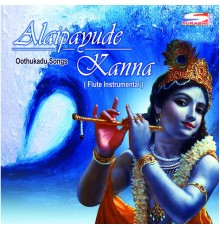 Ramanujam - Alaipayude Kanna  (Instrumental)