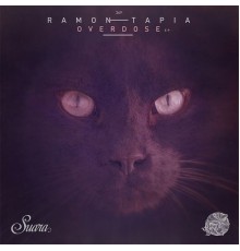 Ramon Tapia - Overdose (Original Mix)