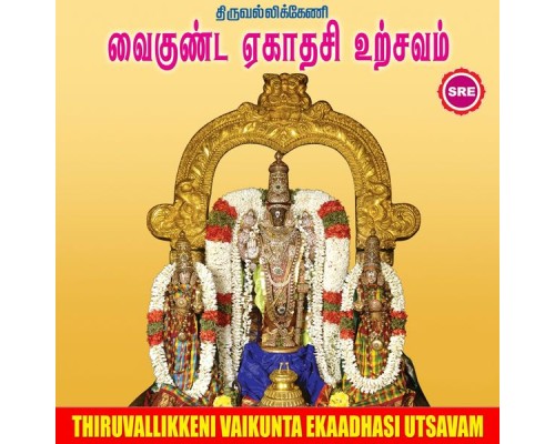 Ramu - Thiruvallikkeni Vaikunta Ekadhasi Utsavam