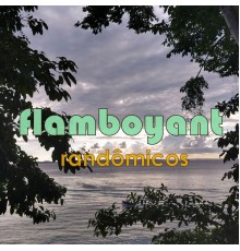 Randômicos - Flamboyant