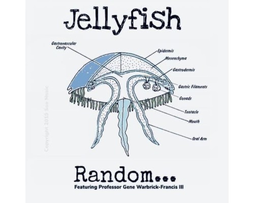 Random Dot Dot Dot - Jellyfish