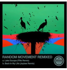 Random Movement - Random Movement Remixed