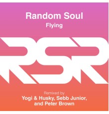 Random Soul - Flying