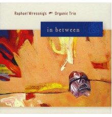 Raphael Wressnig's Organic Trio - In Between