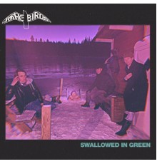 Rare Birds - Swallowed in Green