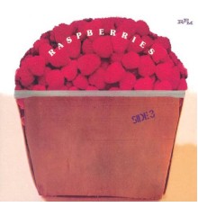 Raspberries - Side 3