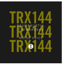 Raumakustik, Tim Baresko - Noise Voice