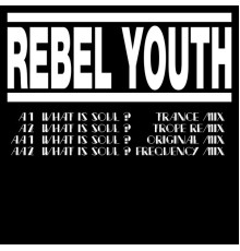 Rebel Youth - What Is Soul?