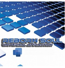 Reborn Soul - Universal Attraction