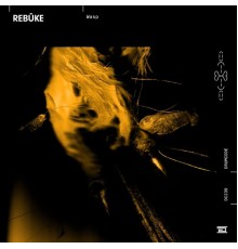 Rebuke - Wasp