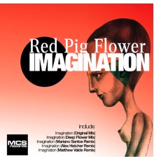 Red Pig Flower - Imagination