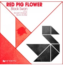 Red Pig Flower - Black Swan