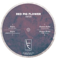 Red Pig Flower - Hafen