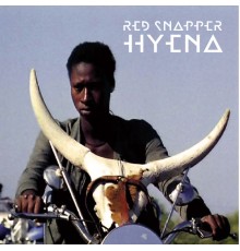 Red Snapper - Hyena