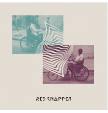 Red Snapper - Wonky Bikes