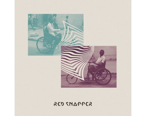 Red Snapper - Wonky Bikes