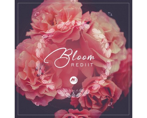 Rediit - Bloom