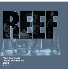 Reef - The Collections