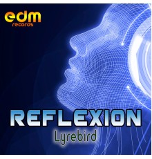 Reflexion - Lyrebird