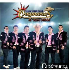 Regulo Valentin y Sus Originarios de Tierra Caliente - Cicatrices