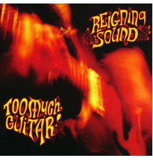 Reigning Sound - Too Much Guitar