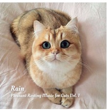 RelaxMyCat, Music For Cats, Pet Music - Rain: Pleasant Resting Music for Cats Vol. 1