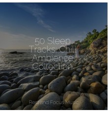 Relaxamento, Musica Relajante, Echoes of Nature - 50 Sleep Tracks: Chill Ambience Collection