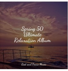 Relaxed Minds, Deep Sleep Music Delta Binaural 432 Hz, Meditation Awareness - Spring 50 Ultimate Relaxation Album