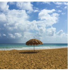 Relaxed Minds, Mother Nature FX and Nature Sounds Nature Music - Affirming Gorgeous Music to Relax