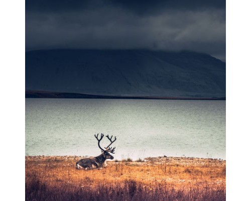 Relaxed Minds, Mother Nature FX and Nature Sounds Nature Music - Sounds of Nature | Zen Mindfulness, Serenity Relaxed Minds, Mother Nature FX and Nature Sounds Nature Music - Sounds of Nature | Zen Mindfulness, Serenity