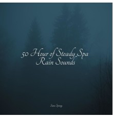Relaxed Minds, The Relaxing Sounds of Swedish Nature, Rain Storm Sample Library - 50 Rain Sounds for Sleep and Chilling Out