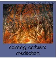 Relaxing Chill Out Music - Calming Ambient Meditation