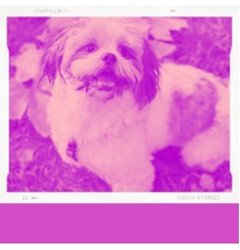 Relaxing Dogs - Feelings for Doggy Anxiety