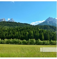Relaxing Music For You, Meditation Music For You and Sleep Music - Birds Sounds & Ambient Rhythms