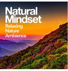 Relaxing Nature Ambience - Natural Mindset