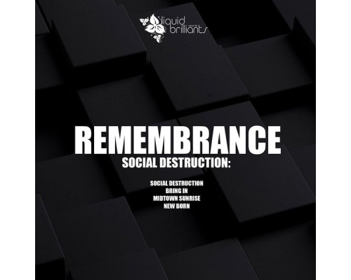 Remembrance - Social Destruction